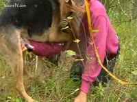 Beastiality Sex Film - My dog fucking me with lengthy ramrod